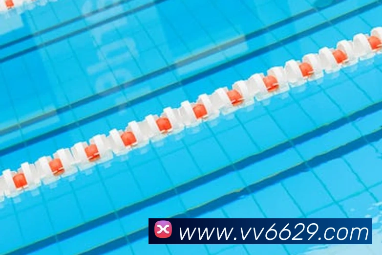 v66APP 封面图